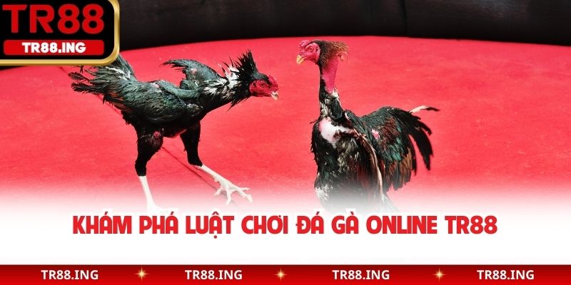 Khám phá luật chơi đá gà online TR88